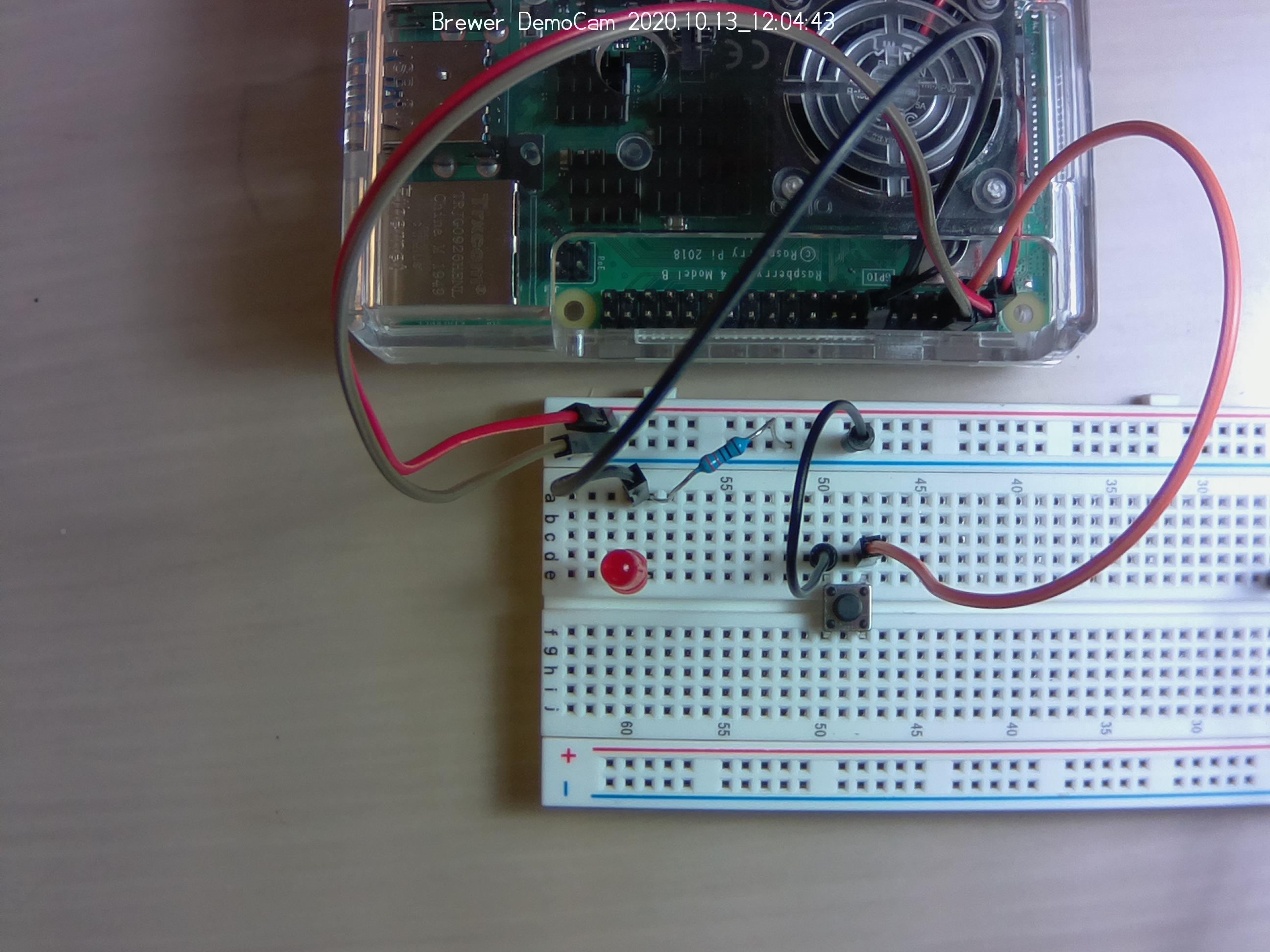 Button with Raspberry Pi